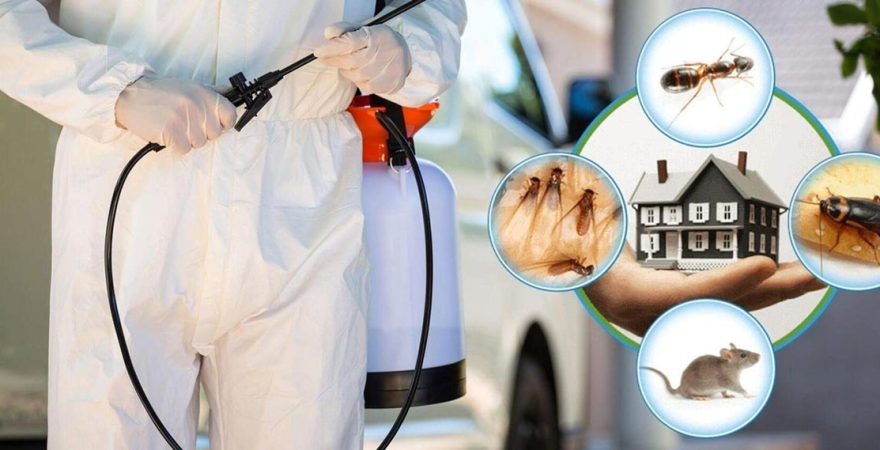 Cihanbeyli Böcek İlaçlama