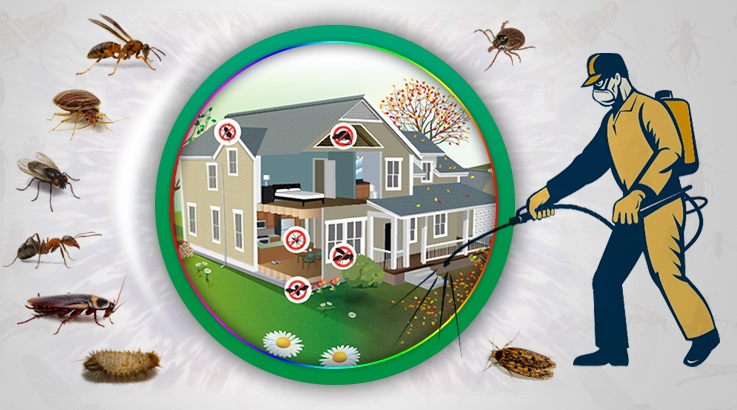 Cihanbeyli Böcek İlaçlama