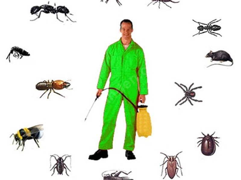 Cihanbeyli Böcek İlaçlama